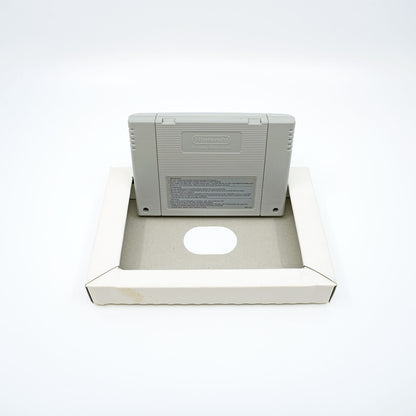 Street Fighter Alpha 2 OVP